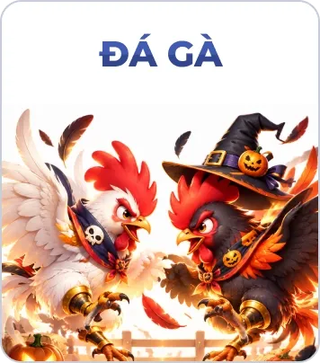 BOM88 Đá gà
